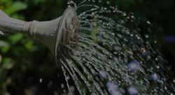 close up of gray metal watering can pouring out water